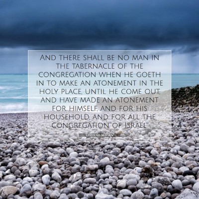 Picture 07 - Leviticus 16:17 KJV - And there shall be no man in the tabernacle of - Bible Verse Picture