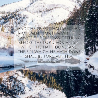 Picture 07 - Leviticus 19:22 KJV - And the priest shall make an atonement for him - Bible Verse Picture