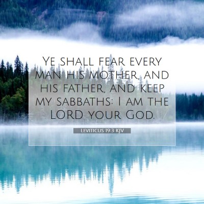 Picture 07 - Leviticus 19:3 KJV - Ye shall fear every man his mother, and his - Bible Verse Picture