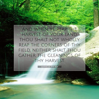 Picture 07 - Leviticus 19:9 KJV - And when ye reap the harvest of your land, thou - Bible Verse Picture