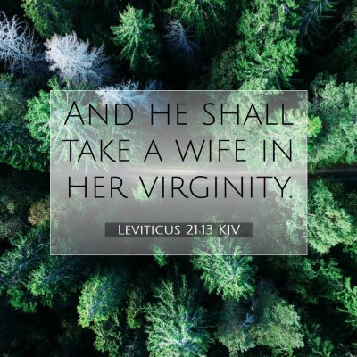 Picture 07 - Leviticus 21:13 KJV - And he shall take a wife in her - Bible Verse Picture
