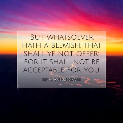 Picture 07 - Leviticus 22:20 KJV - But whatsoever hath a blemish, that shall ye not - Bible Verse Picture