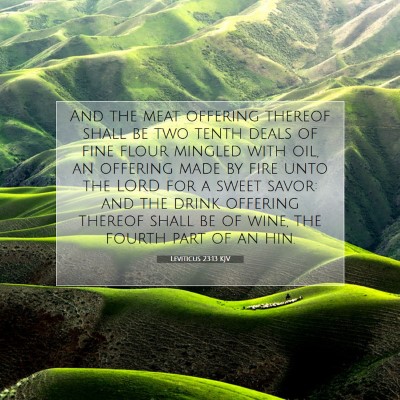 Picture 07 - Leviticus 23:13 KJV - And the meat offering thereof shall be two tenth - Bible Verse Picture
