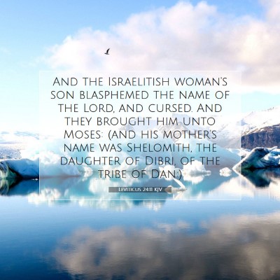 Picture 07 - Leviticus 24:11 KJV - And the Israelitish woman's son blasphemed the - Bible Verse Picture