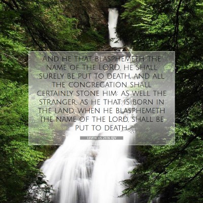 Picture 07 - Leviticus 24:16 KJV - And he that blasphemeth the name of the LORD, he - Bible Verse Picture