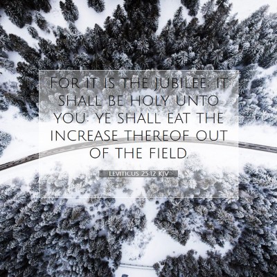 Picture 07 - Leviticus 25:12 KJV - For it is the jubilee; it shall be holy unto you: - Bible Verse Picture