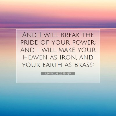 Picture 07 - Leviticus 26:19 KJV - And I will break the pride of your power; and I - Bible Verse Picture