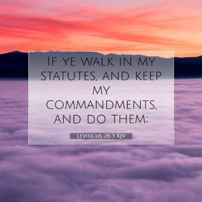 Picture 07 - Leviticus 26:3 KJV - If ye walk in my statutes, and keep my - Bible Verse Picture