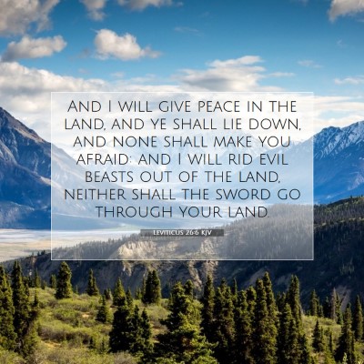 Picture 07 - Leviticus 26:6 KJV - And I will give peace in the land, and ye shall - Bible Verse Picture