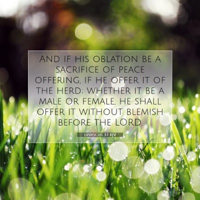 Picture 07 - Leviticus 3:1 KJV - And if his oblation be a sacrifice of peace - Bible Verse Picture