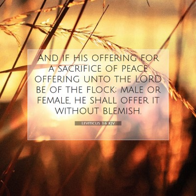 Picture 07 - Leviticus 3:6 KJV - And if his offering for a sacrifice of peace - Bible Verse Picture