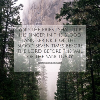 Picture 07 - Leviticus 4:6 KJV - And the priest shall dip his finger in the blood, - Bible Verse Picture