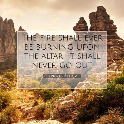 Picture 07 - Leviticus 6:13 KJV - The fire shall ever be burning upon the altar; it - Bible Verse Picture