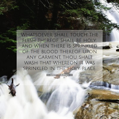 Picture 07 - Leviticus 6:27 KJV - Whatsoever shall touch the flesh thereof shall be - Bible Verse Picture