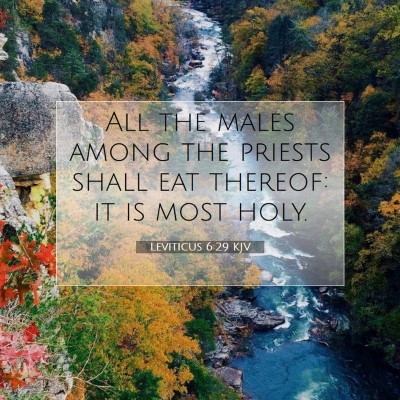Picture 07 - Leviticus 6:29 KJV - All the males among the priests shall eat - Bible Verse Picture