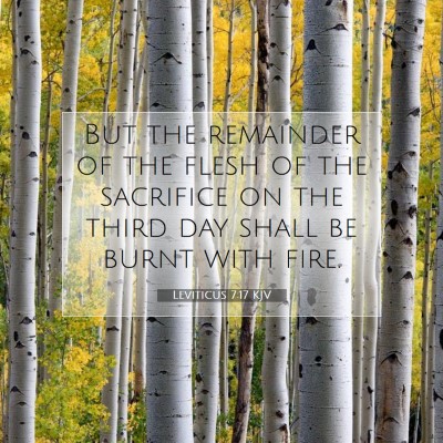 Picture 07 - Leviticus 7:17 KJV - But the remainder of the flesh of the sacrifice - Bible Verse Picture