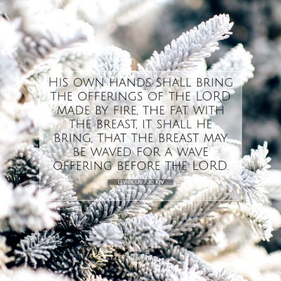 Picture 07 - Leviticus 7:30 KJV - His own hands shall bring the offerings of the - Bible Verse Picture
