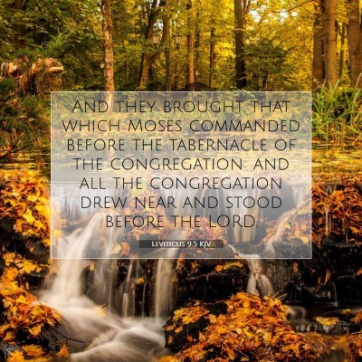 Picture 07 - Leviticus 9:5 KJV - And they brought that which Moses commanded - Bible Verse Picture