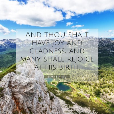Picture 07 - Luke 1:14 KJV - And thou shalt have joy and gladness; and many - Bible Verse Picture