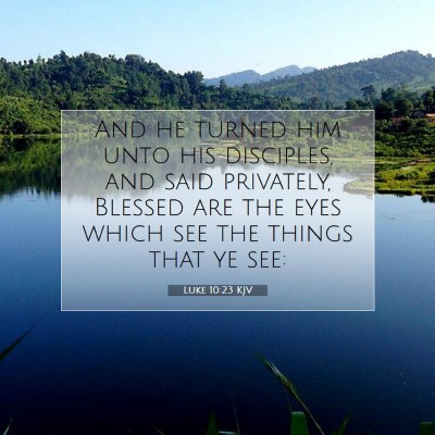 Picture 07 - Luke 10:23 KJV - And he turned him unto his disciples, and said - Bible Verse Picture
