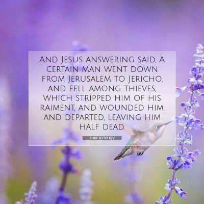 Picture 07 - Luke 10:30 KJV - And Jesus answering said, A certain man went down - Bible Verse Picture