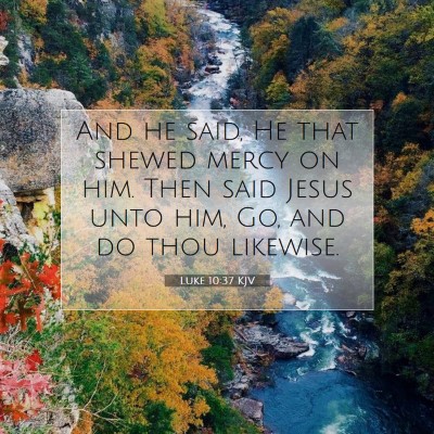 Picture 07 - Luke 10:37 KJV - And he said, He that shewed mercy on him. Then - Bible Verse Picture
