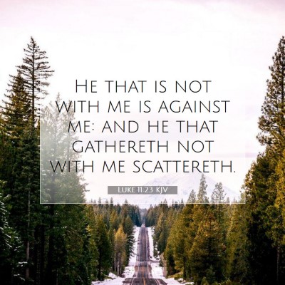 Picture 07 - Luke 11:23 KJV - He that is not with me is against me: and he that - Bible Verse Picture