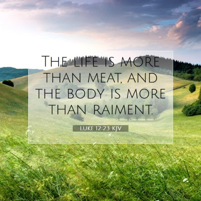 Picture 07 - Luke 12:23 KJV - The life is more than meat, and the body is more - Bible Verse Picture