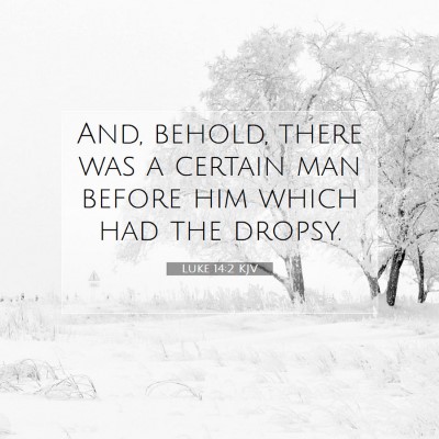 Picture 07 - Luke 14:2 KJV - And, behold, there was a certain man before him - Bible Verse Picture