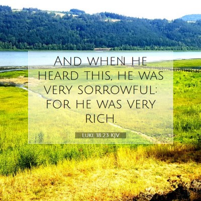 Picture 07 - Luke 18:23 KJV - And when he heard this, he was very sorrowful: - Bible Verse Picture