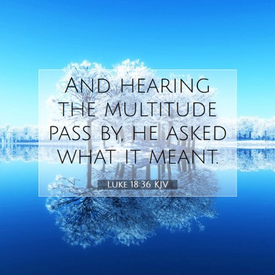 Picture 07 - Luke 18:36 KJV - And hearing the multitude pass by, he asked what - Bible Verse Picture