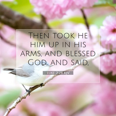 Picture 07 - Luke 2:28 KJV - Then took he him up in his arms, and blessed God, - Bible Verse Picture