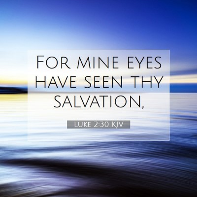 Picture 07 - Luke 2:30 KJV - For mine eyes have seen thy - Bible Verse Picture