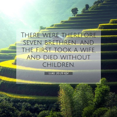 Picture 07 - Luke 20:29 KJV - There were therefore seven brethren: and the - Bible Verse Picture
