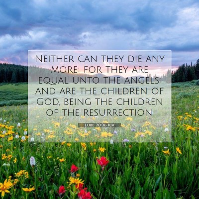 Picture 07 - Luke 20:36 KJV - Neither can they die any more: for they are equal - Bible Verse Picture