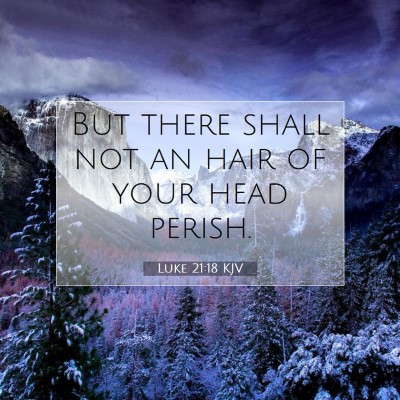 Picture 07 - Luke 21:18 KJV - But there shall not an hair of your head - Bible Verse Picture