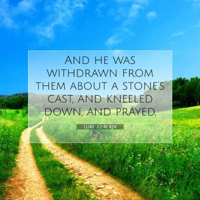 Picture 07 - Luke 22:41 KJV - And he was withdrawn from them about a stone's - Bible Verse Picture