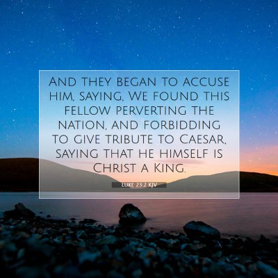 Picture 07 - Luke 23:2 KJV - And they began to accuse him, saying, We found - Bible Verse Picture