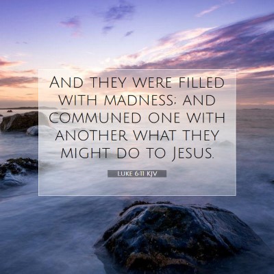 Picture 07 - Luke 6:11 KJV - And they were filled with madness; and communed - Bible Verse Picture