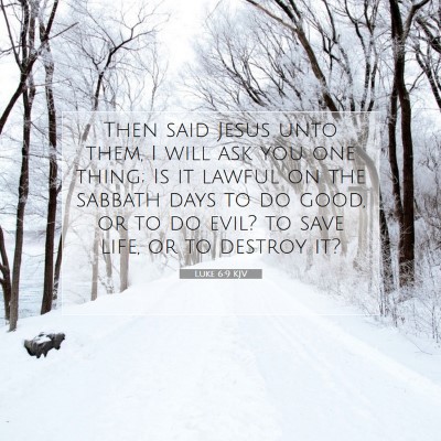 Picture 07 - Luke 6:9 KJV - Then said Jesus unto them, I will ask you one - Bible Verse Picture