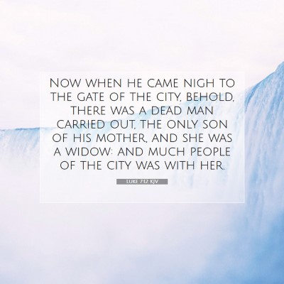 Picture 07 - Luke 7:12 KJV - Now when he came nigh to the gate of the city, - Bible Verse Picture