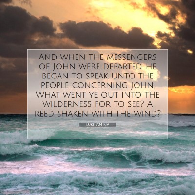 Picture 07 - Luke 7:24 KJV - And when the messengers of John were departed, he - Bible Verse Picture