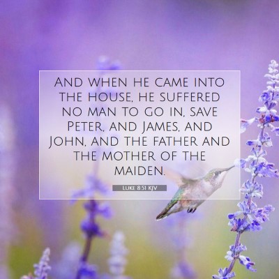 Picture 07 - Luke 8:51 KJV - And when he came into the house, he suffered no - Bible Verse Picture