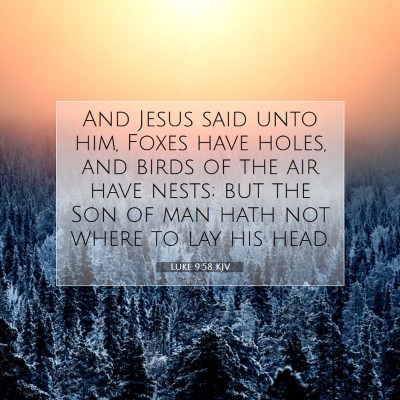 Picture 07 - Luke 9:58 KJV - And Jesus said unto him, Foxes have holes, and - Bible Verse Picture
