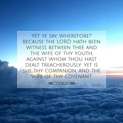 Picture 07 - Malachi 2:14 KJV - Yet ye say, Wherefore? Because the LORD hath been - Bible Verse Picture