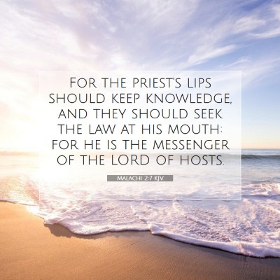 Picture 07 - Malachi 2:7 KJV - For the priest's lips should keep knowledge, and - Bible Verse Picture
