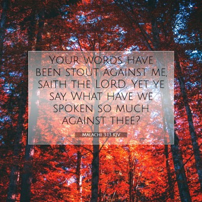 Picture 07 - Malachi 3:13 KJV - Your words have been stout against me, saith the - Bible Verse Picture