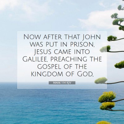 Picture 07 - Mark 1:14 KJV - Now after that John was put in prison, Jesus came - Bible Verse Picture
