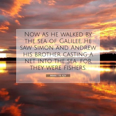 Picture 07 - Mark 1:16 KJV - Now as he walked by the sea of Galilee, he saw - Bible Verse Picture