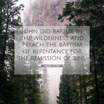 Picture 07 - Mark 1:4 KJV - John did baptize in the wilderness, and preach - Bible Verse Picture